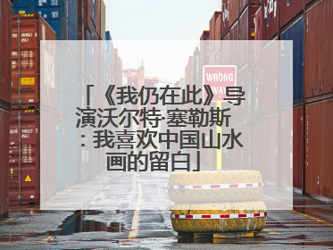 《我仍在此》导演沃尔特·塞勒斯：我喜欢中国山水画的留白