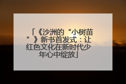 《沙洲的“小树苗”》新书首发式：让红色文化在新时代少年心中绽放