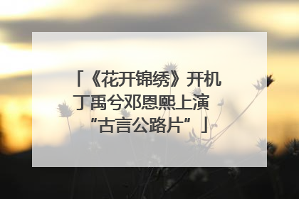《花开锦绣》开机 丁禹兮邓恩熙上演“古言公路片”