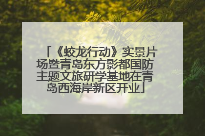 《蛟龙行动》实景片场暨青岛东方影都国防主题文旅研学基地在青岛西海岸新区开业