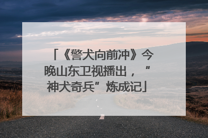 《警犬向前冲》今晚山东卫视播出，“神犬奇兵”炼成记