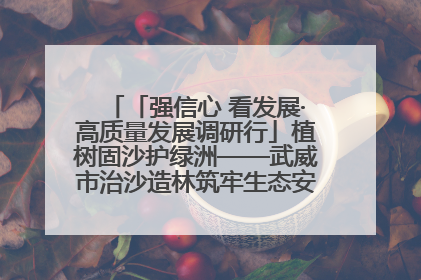 「强信心 看发展·高质量发展调研行」植树固沙护绿洲——武威市治沙造林筑牢生态安全屏障见闻