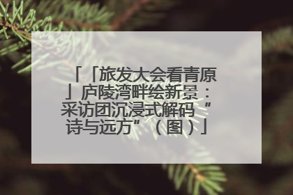 「旅发大会看青原」庐陵湾畔绘新景：采访团沉浸式解码“诗与远方”（图）
