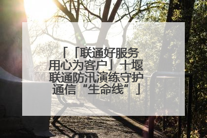 「联通好服务 用心为客户」十堰联通防汛演练守护通信“生命线”