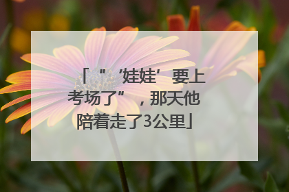 “‘娃娃’要上考场了”，那天他陪着走了3公里