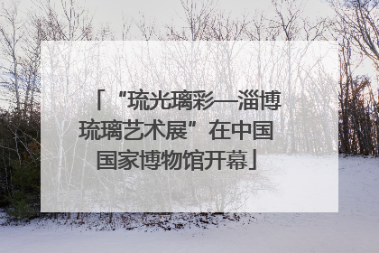 “琉光璃彩—淄博琉璃艺术展”在中国国家博物馆开幕