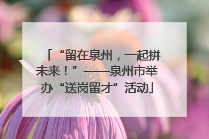 “留在泉州，一起拼未来！”——泉州市举办“送岗留才”活动