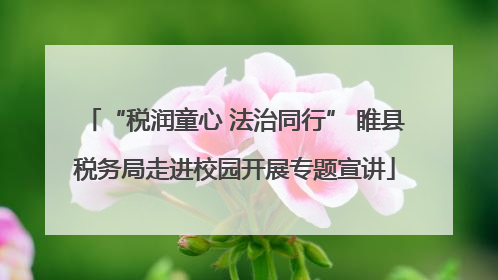 “税润童心 法治同行” 睢县税务局走进校园开展专题宣讲