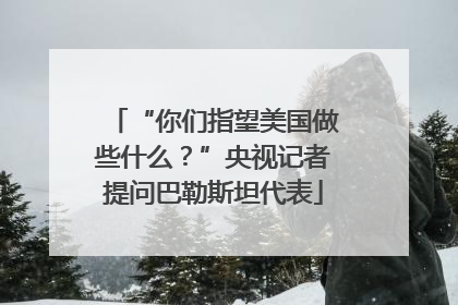“你们指望美国做些什么？”央视记者提问巴勒斯坦代表