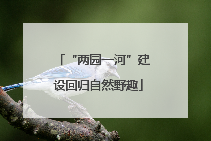 “两园一河”建设回归自然野趣