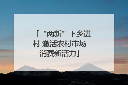 “两新”下乡进村 激活农村市场消费新活力