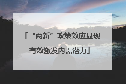 “两新”政策效应显现 有效激发内需潜力