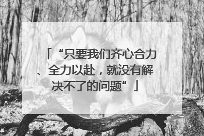 “只要我们齐心合力、全力以赴，就没有解决不了的问题”