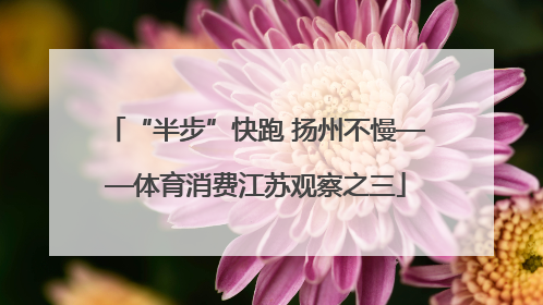 “半步”快跑 扬州不慢——体育消费江苏观察之三