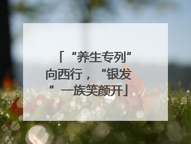 “养生专列”向西行，“银发”一族笑颜开