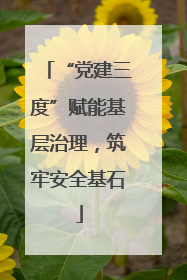 “党建三度”赋能基层治理，筑牢安全基石