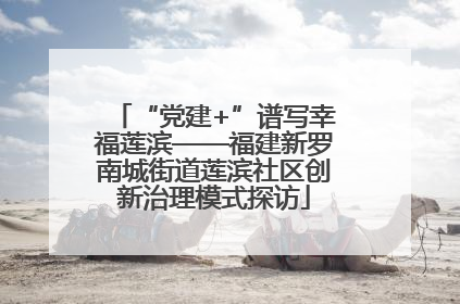 “党建+”谱写幸福莲滨——福建新罗南城街道莲滨社区创新治理模式探访