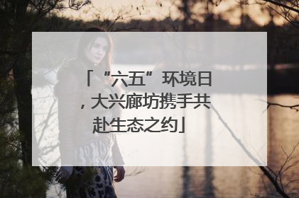 “六五”环境日，大兴廊坊携手共赴生态之约