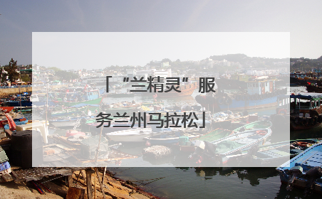 “兰精灵”服务兰州马拉松