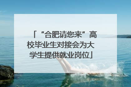 “合肥请您来”高校毕业生对接会为大学生提供就业岗位