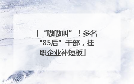 “嗷嗷叫”！多名“85后”干部，挂职企业补短板