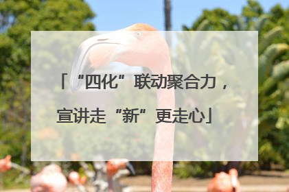 “四化”联动聚合力，宣讲走“新”更走心