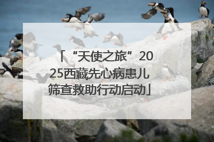 “天使之旅”2025西藏先心病患儿筛查救助行动启动