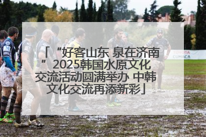 “好客山东 泉在济南”2025韩国水原文化交流活动圆满举办 中韩文化交流再添新彩