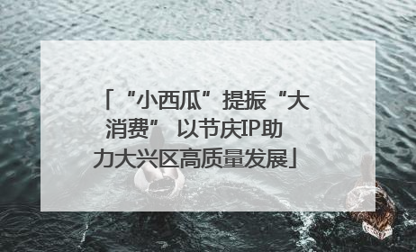 “小西瓜”提振“大消费” 以节庆IP助力大兴区高质量发展