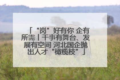 “岗”好有你 企有所需丨干事有舞台、发展有空间 河北国企抛出人才“橄榄枝”