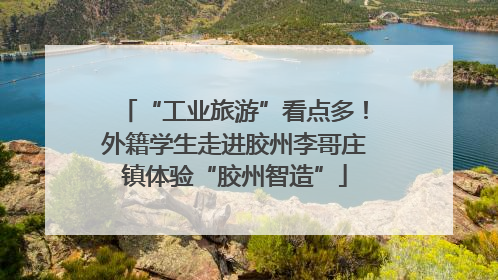 “工业旅游”看点多！外籍学生走进胶州李哥庄镇体验“胶州智造”