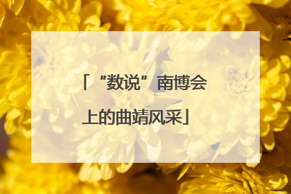 “数说”南博会上的曲靖风采