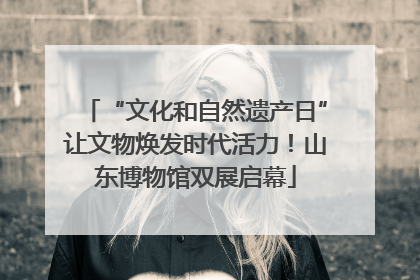 “文化和自然遗产日”让文物焕发时代活力！山东博物馆双展启幕