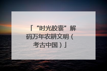 “时光胶囊”解码万年农耕文明（考古中国）