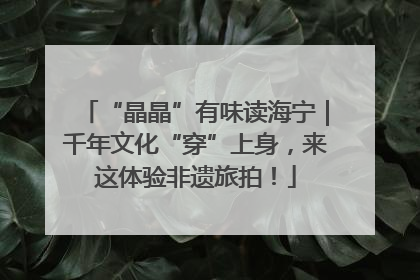 “晶晶”有味读海宁｜千年文化“穿”上身，来这体验非遗旅拍！