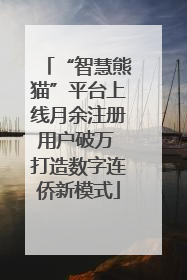 “智慧熊猫”平台上线月余注册用户破万 打造数字连侨新模式