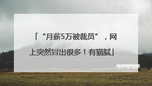“月薪5万被裁员”，网上突然冒出很多！有猫腻
