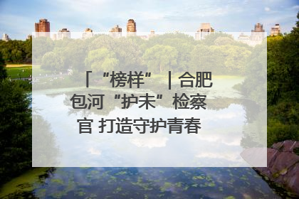 “榜样”｜合肥包河“护未”检察官 打造守护青春成长的永恒灯塔