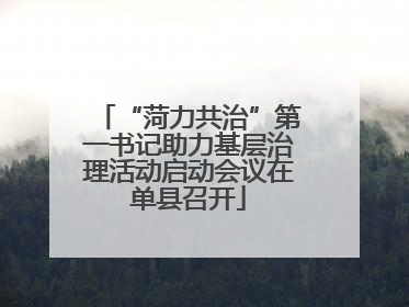 “菏力共治”第一书记助力基层治理活动启动会议在单县召开