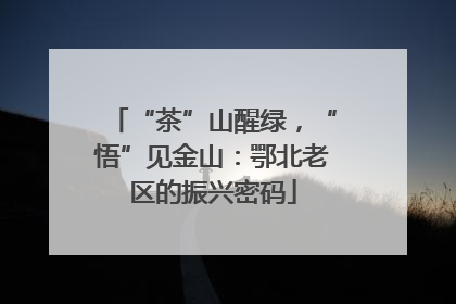 “茶”山醒绿，“悟”见金山：鄂北老区的振兴密码