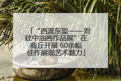 “西渡东望——刘建中油画作品展”在商丘开展 60余幅佳作展现艺术魅力