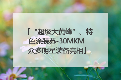 “超级大黄蜂”、特色涂装苏-30MKM 众多明星装备亮相