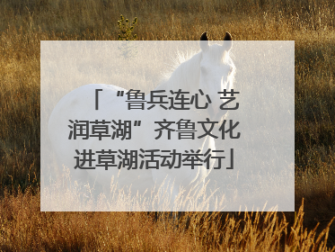 “鲁兵连心 艺润草湖”齐鲁文化进草湖活动举行