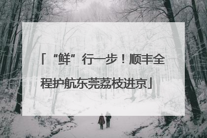 “鲜”行一步！顺丰全程护航东莞荔枝进京