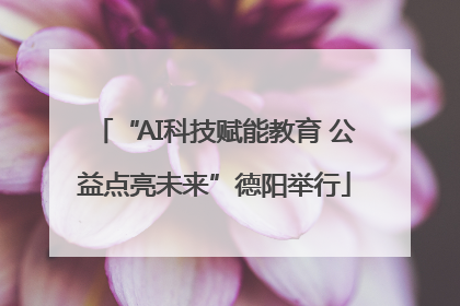 “AI科技赋能教育 公益点亮未来”德阳举行