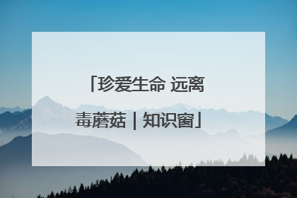 珍爱生命 远离毒蘑菇｜知识窗