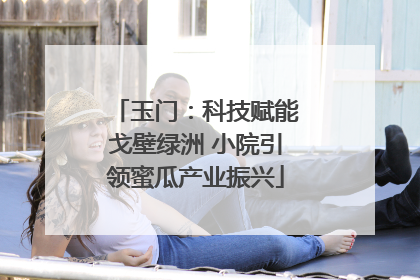 玉门：科技赋能戈壁绿洲 小院引领蜜瓜产业振兴