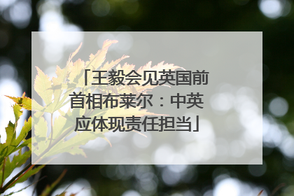 王毅会见英国前首相布莱尔：中英应体现责任担当