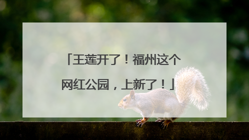 王莲开了！福州这个网红公园，上新了！