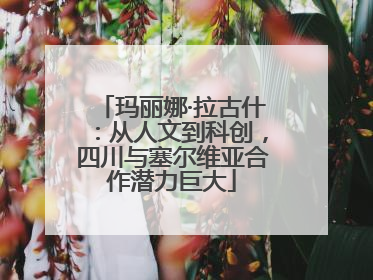 玛丽娜·拉古什：从人文到科创，四川与塞尔维亚合作潜力巨大